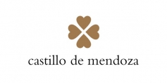 Castillo de Mendoza, Espagne