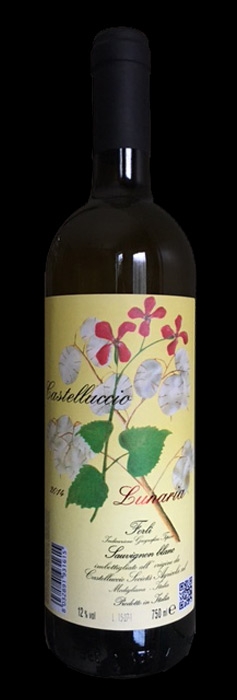 Lunaria, 2014, Azienda Agricola Castelluccio