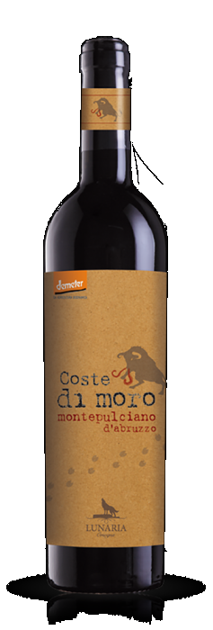 Coste di Moro, 2013, Lunaria